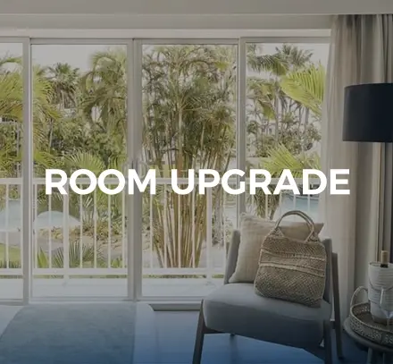 DDI_Family-Attendance_Room-Upgrade2